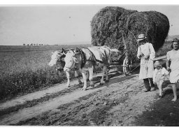 Bergheim Geschichte